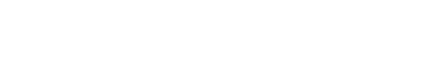 Perseus Group